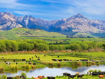 新西兰工作签，收入高，可以带家属